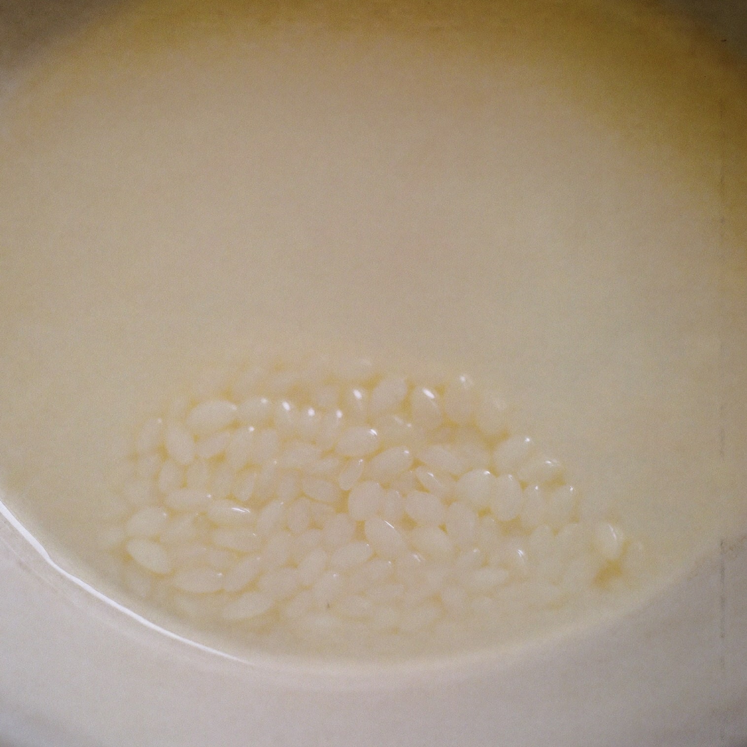 Macro detail of cloudy rice ferment in a shallow stoneware dish.